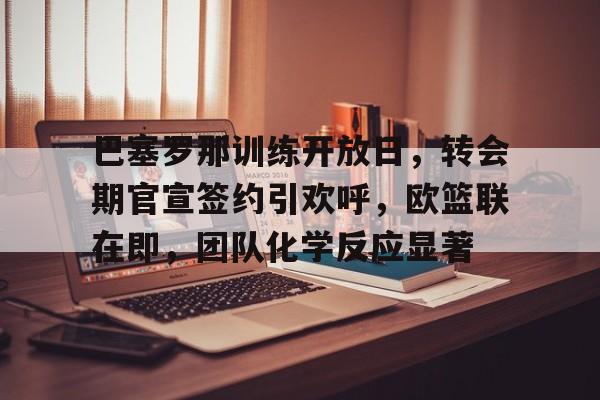 包含巴塞罗那训练开放日，转会期官宣签约引欢呼，欧篮联在即，团队化学反应显著的词条